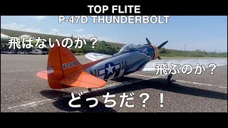 大型機体サンダーボルト飛ぶのか飛ばないのかどっちなんだい