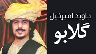 Javed Amirkhail - Gulabo جاوید امیرخیل - گلابو