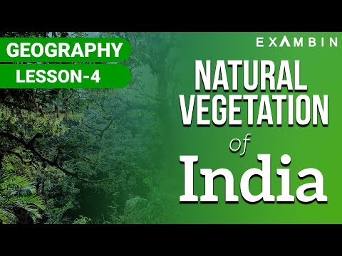 Natural Vegetation of India I Natural vegetation of INDIA UPSC/IAS