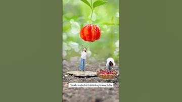 Cô bé tí hon hái trái cây khổng lồ p2