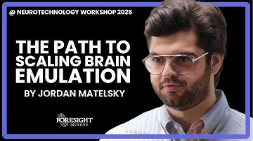 Jordan Matelsky | The Path to Scaling Brain Emulation @ Neurotechnology Workshop 2025