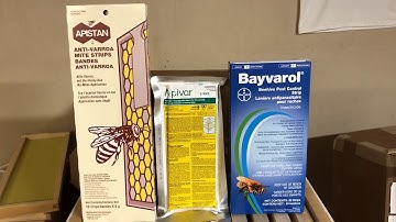 How to control Varroa Mite with Apistan, Apivar and Bayvoral