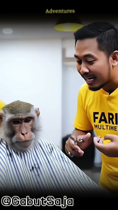 Moment lucu monyet cukur rambut di salon🤣🤣