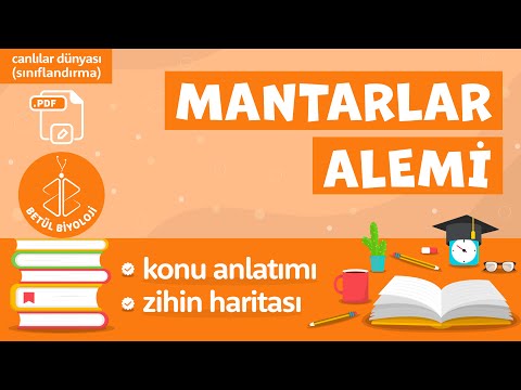 Mantarlar Alemi | TYT Biyoloji | 9. Sınıf Biyoloji #MantarlarAlemi #YKS2022 #sınıflandırma