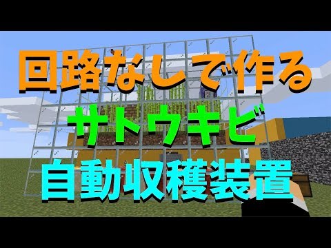 【マイクラ】回路なしで作るサトウキビ自動収穫装置（コマンド解説）