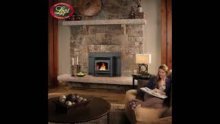 The Agp Steel Pellet Insert