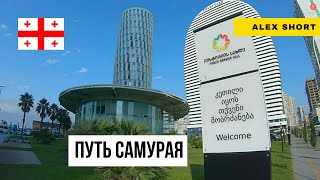 Как легально работать В или ИЗ Грузии