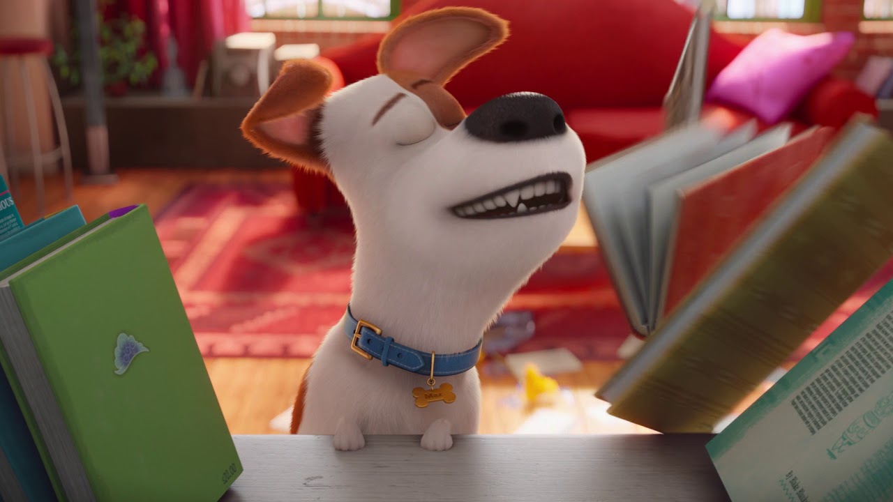 макс тайная жизнь животных 2. катя и макс новый питомец макса. тайная жизнь домашних животных мультфильм 2016 снежок. включи питомец макс. макс тайная жизнь.