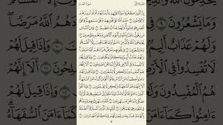 سورة البقرة - الآيات من 10 الى 12 - بصوت الشيخ نورين محمد صديق رحمه الله