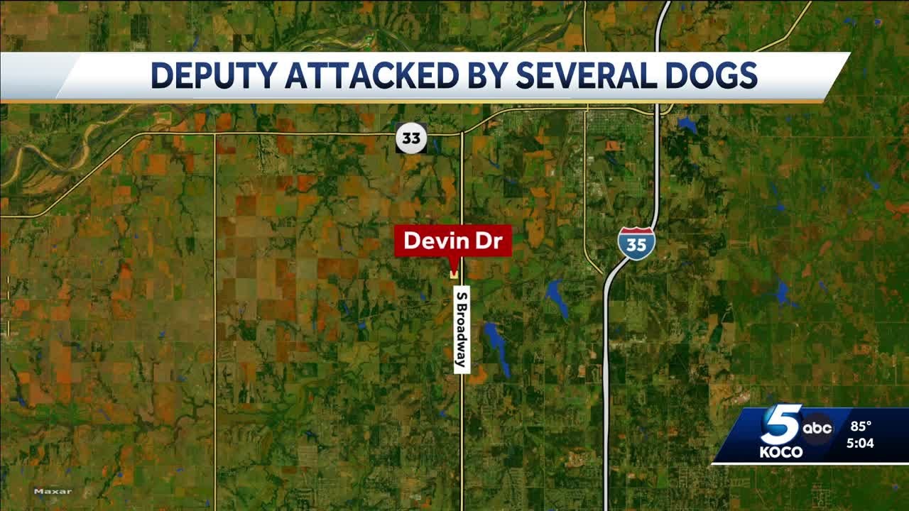 Logan County deputy hospitalized after dog attack during arrest