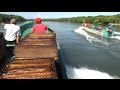 Miel de Mangle en el Golfo de México