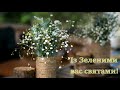 Привітання ЗІ СВЯТОМ ТРІЙЦІ 2024 | Красива українська відео-листівка | Зелені свята 2024