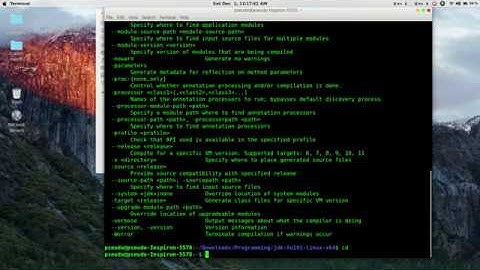 How to install Oracle java11 in  Ubuntu