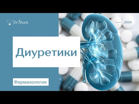 Диуретики: препараты, механизм действия, эффекты, побочки и противопоказания