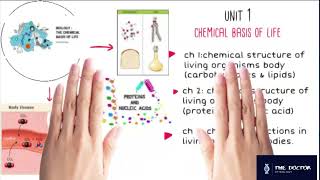 OVERVIEW TO BIOLOGY OF THE FIRST SECONDARY GRADE.