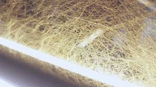With Lamilux Luxury Fabric Interlayer Glass Panel