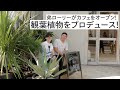 弟ローリーがカフェをオープン! 観葉植物をプロデュース!