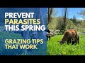 Spring Grazing Tips to Prevent Parasites in Sheep and Goats: What Every Flock Owner Should Know
