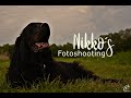 Nikko´s Fotoshooting, Wolfsgeheul Fotografie-Amstetten, Gordon Setter in Aktion