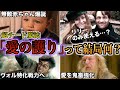 【絶対防御魔法】リリーが発動してヴォルぶっ倒した「愛の護り」の魔法の秘密を徹底解説!