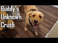 Saal ke Pehle Din Buddy ko Love at First Sight ho Gaya | First Vlog of 2023 @FurryFriend