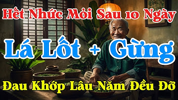 Hết Đau Nhức Khớp, Lưng Đỡ Mỏi – Gừng và Lá Lốt Có Thật Hiệu Nghiệm?