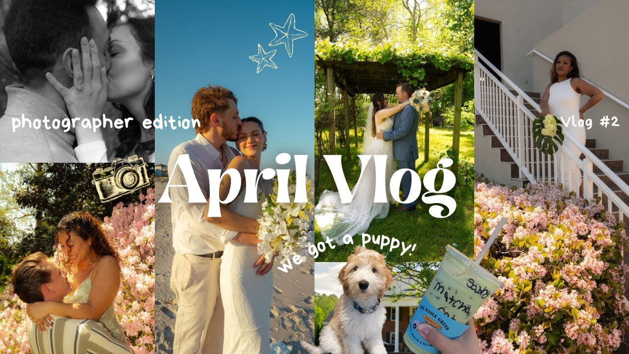april vlog (beach elopement, backyard wedding, proposal & more) 🌸⛳️🌊