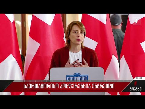 საერთაშორისო კონფერენცია უნგრეთში - შეფასებები პოლიტიკურ სპექტრში