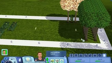 Sims 3: Saving and Desktop Crash