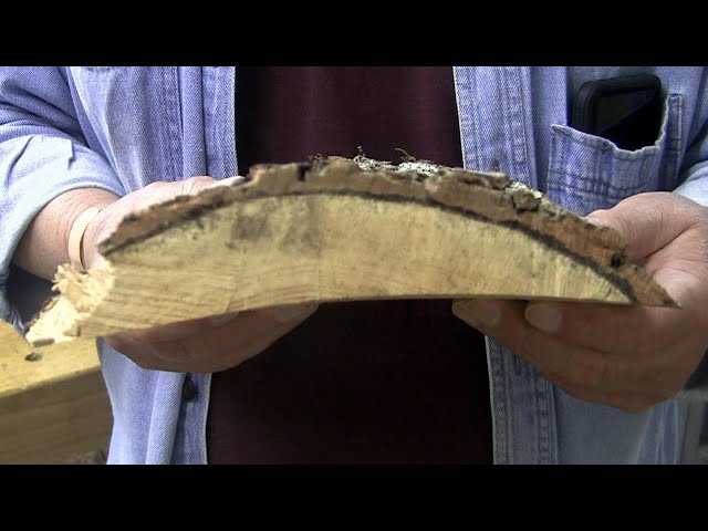 Grandpa Dennis Woodturning resin and apple - YouTube