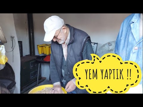 Video: Bıldırcınlar Için Karma Yem Nasıl Hazırlanır