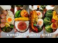 【A week of husband lunch boxes #48】Izakaya night at home🏮🍺