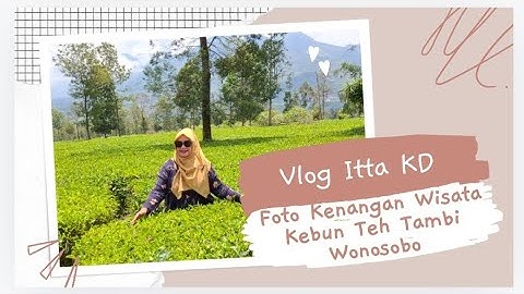 Foto Kenangan | Wisata Kebun Teh Tambi | Wonosobo - Vlog | Itta KD Channel