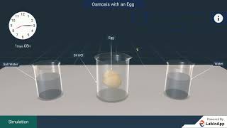 The Fundamental Unit of Life - Osmosis with an egg