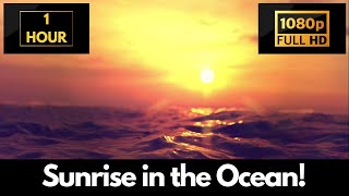 Bright Ocean Sunset – 1 HOUR LOOP Satisfying Background Video & Wallpaper!