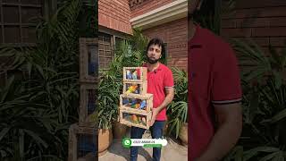 Some Quality Birds For Quality Lovers Of Karachi