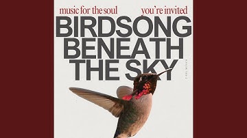 Cloud-Kissed Harmonies