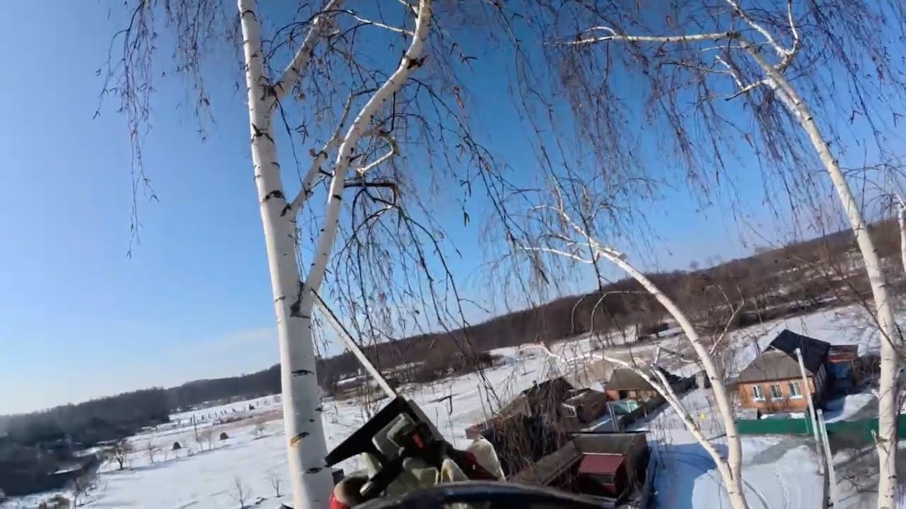 Huge Birch Tree Hanging Over the House – Dangerous Removal @ArboristRomny 