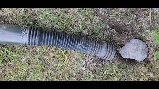 How to Trap and Get Rid of Ground Squirrels
