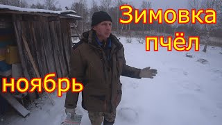 ЗИМОВКА пчёл в ОМШАННИКЕ! Вентиляция в ульях, КАРНИКА в СИБИРИ