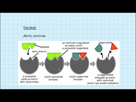 Videó: Az enzim visszacsatolásos gátlása során?