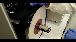 Introducing BIOEMTECH's Fillable Mouse Phantom