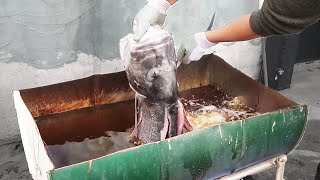 巨大魚GTをドラム缶一杯の油に放り込んでみた
