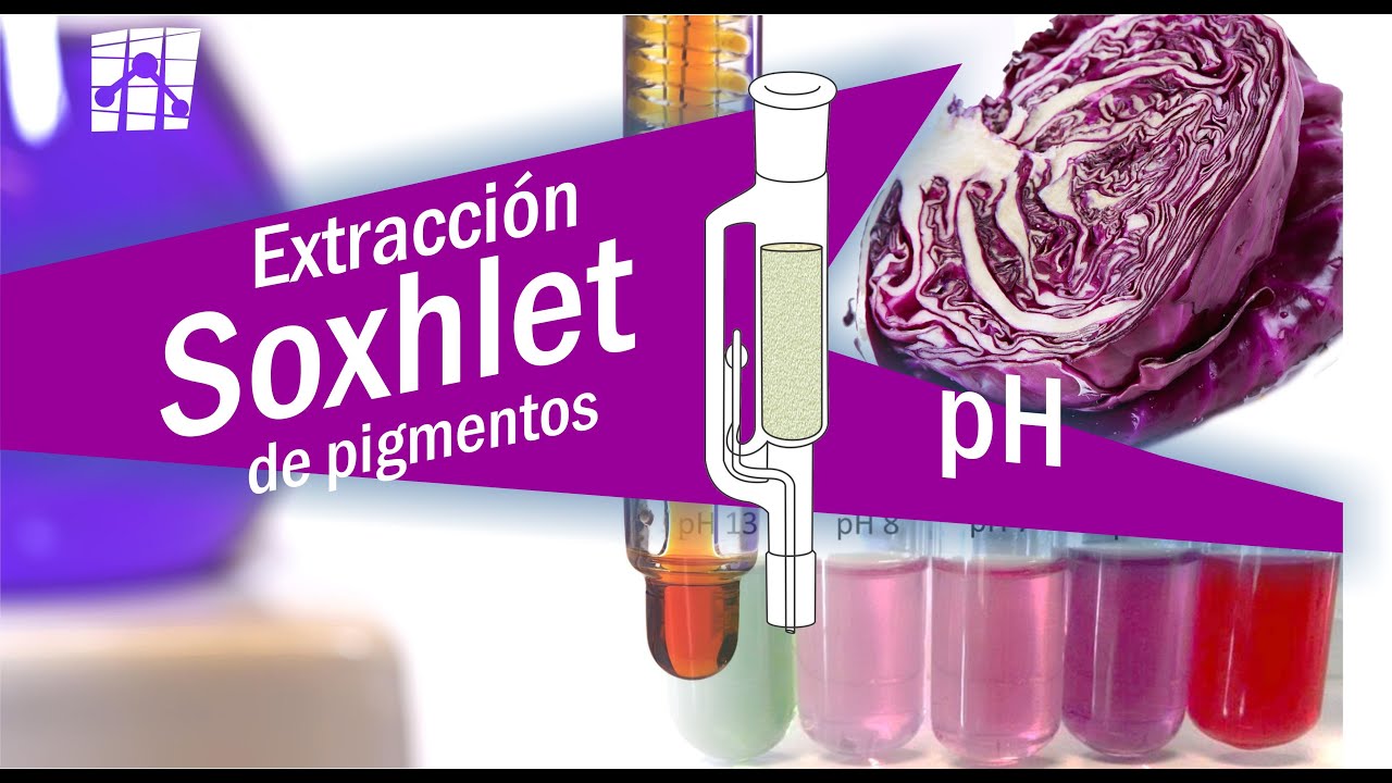 Extracción Soxhlet: pigmento