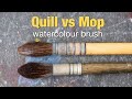 Quill vs Mop Brushes