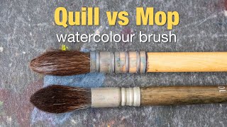 Quill vs Mop Brushes