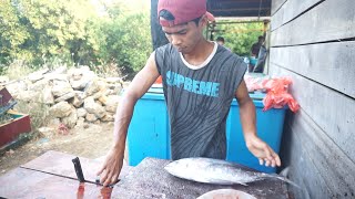 FASTEST SKILLS CUTTING || BIG SKIPJACK TUNA FISH CUTTING IN FISH MARKET