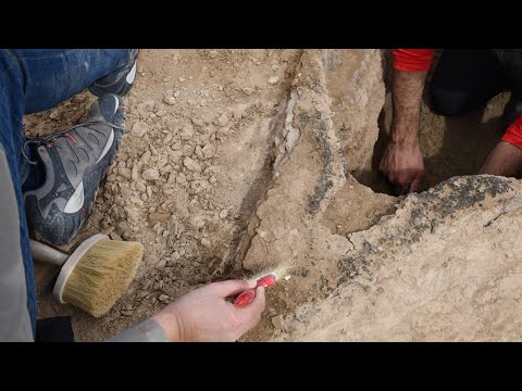 4000-year-old boat excavated near the ancient city of Uruk