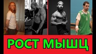 Рост мышц. Тайны раскрыты