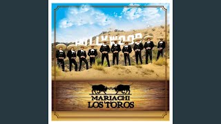 Video thumbnail of "Mariachi Los Toros - Popurri de Sones"